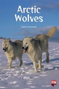 Arctic Wolves