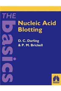 Nucleic Acid Blotting