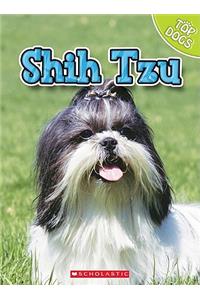 Shih Tzu