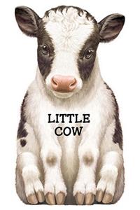 Little Cow