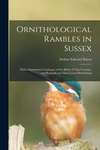 Ornithological Rambles in Sussex