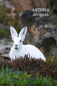 Asthma Journal