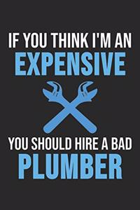 If You Think I'm An Expensive You Should Hire A Bad Plumber