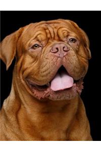 Dogue de Bordeaux Notebook