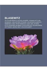 Blasewitz: Villa in Blasewitz, Blaues Wunder, Johann Gottlieb Naumann, Loschwitzer Strasse, Waldpark Blasewitz, Hermann Ilgen, Pe