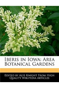 Iberis in Iowa