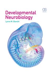 Developmental Neurobiology
