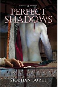Perfect Shadows