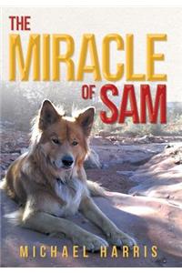 Miracle of Sam