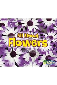 All about Flowers