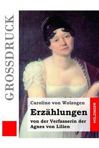 Erzählungen (Großdruck)
