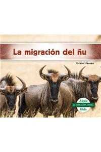 La Migración Del ñu/ Wildebeest Migration
