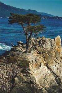 Cypress Trees on California Shore Journal: 150 Page Lined Notebook/Diary