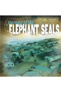 Journey of the Elephant Seals