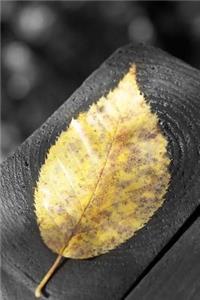 A Lovely Yellow Autumn Leaf Journal