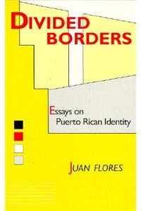 Divided Borders: Essays on Puerto Rican Identity