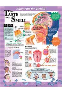 Blueprint for Health Your Taste and Smell Chart