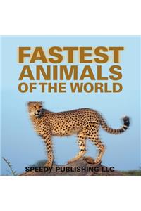 Fastest Animals Of The World