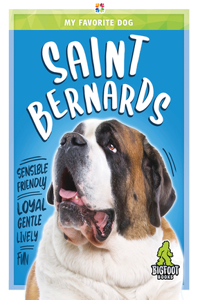 Saint Bernards