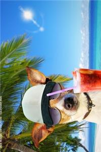Jack Russel On Vacation - Calendar 2020