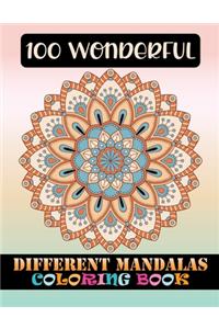 100 Wonderful Different Mandalas Coloring Book