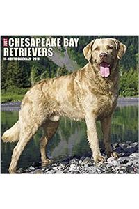 Just Chesapeake Bay Retrievers 2018 Wall Calendar (Dog Breed Calendar)
