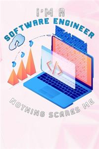 I'm A Software Engineer Nothing Scares Me