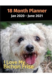 Jan 2020 - June 2021 18 Month Planner