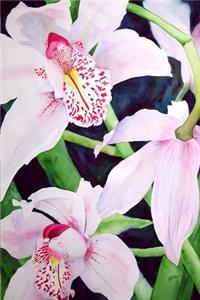 Orchids