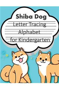 Trace Letters alphabet for kindergarten child's writing muscles