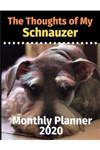 The Thoughts of My Schnauzer