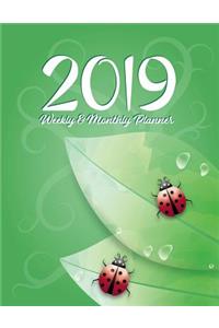 2019 Weekly & Monthly Planner