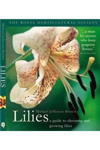 Rhs Lilies