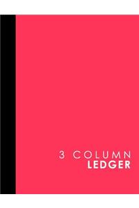 3 Column Ledger