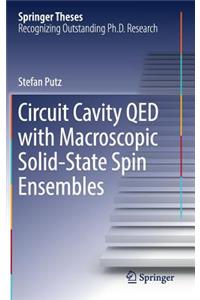 Circuit Cavity QED with Macroscopic Solid-State Spin Ensembles