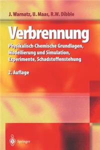 Verbrennung: Physikalisch-Chemische Grundlagen, Modellierung Und Simulation, Experimente, Schadstoffentstehung