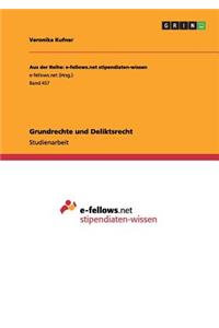 Grundrechte und Deliktsrecht