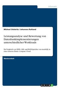 Leistungsanalyse und Bewertung von Datenbankimplementierungen unterschiedlicher Workloads
