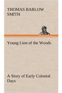 Young Lion of the Woods A Story of Early Colonial Days