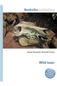 Wild Boar