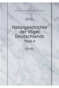 Naturgeschichte Der Vögel Deutschlands Theil 4