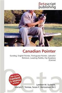 Canadian Pointer