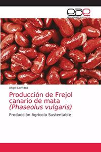 Producción de Frejol canario de mata (Phaseolus vulgaris)