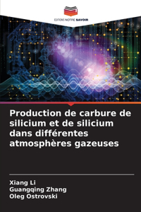Production de carbure de silicium et de silicium dans différentes atmosphères gazeuses