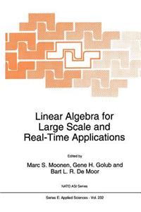 Linear Algebra for Large Scale and Real-Time Applications