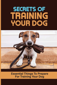 Secrets Of Training Your Dog