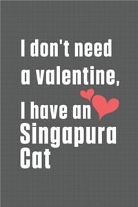 I don't need a valentine, I have a Singapura Cat