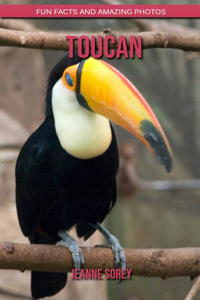 Toucan