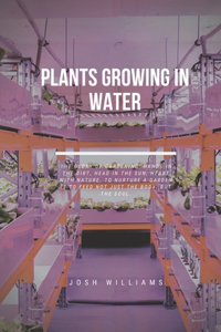 Plants Growing In Water