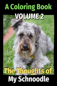 The Thoughts of My Schnoodle